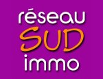 RESEAU SUD IMMO 11100